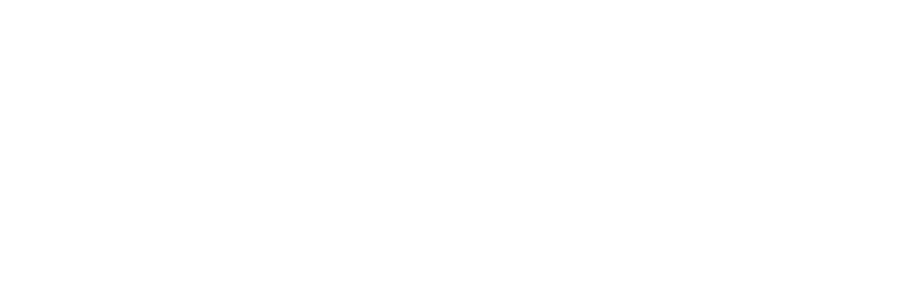 The Creditsafe Technology Logo